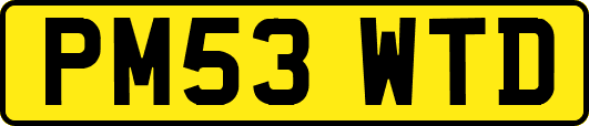 PM53WTD