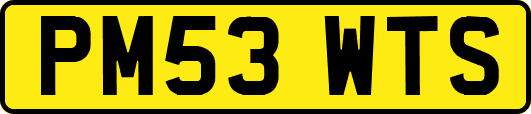 PM53WTS