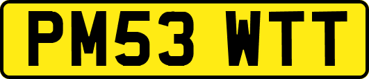 PM53WTT