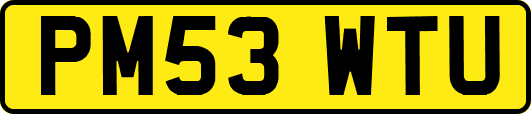 PM53WTU