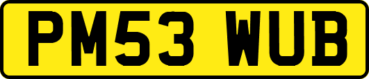 PM53WUB