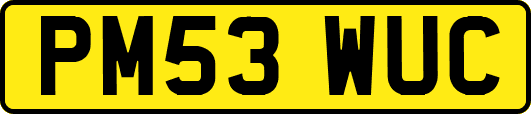 PM53WUC