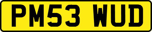 PM53WUD