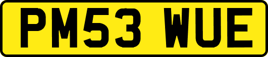 PM53WUE