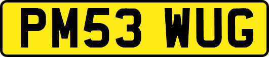 PM53WUG