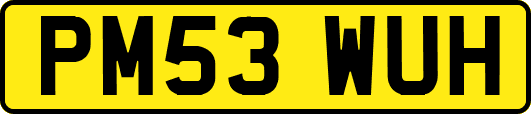 PM53WUH