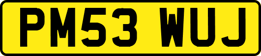PM53WUJ