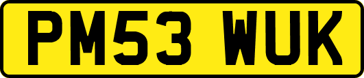 PM53WUK