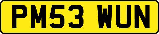 PM53WUN
