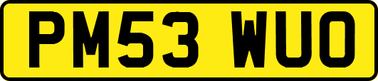 PM53WUO