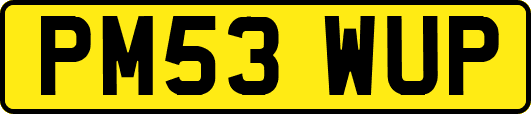 PM53WUP