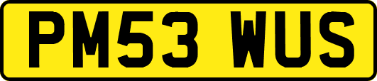 PM53WUS