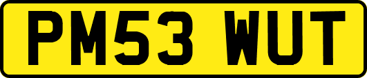 PM53WUT