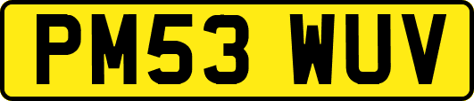 PM53WUV