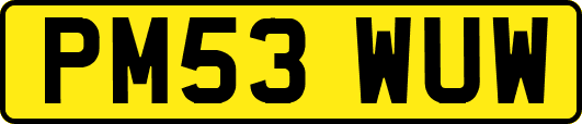PM53WUW