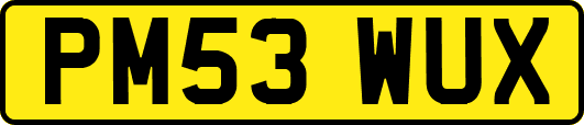 PM53WUX