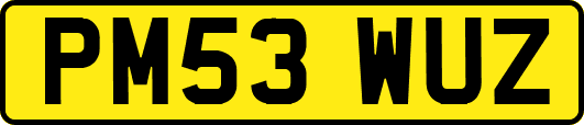 PM53WUZ