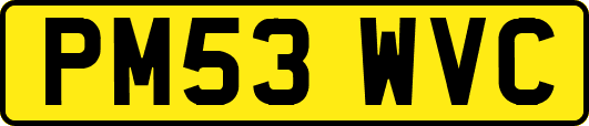 PM53WVC