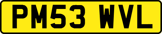 PM53WVL