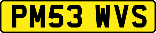 PM53WVS