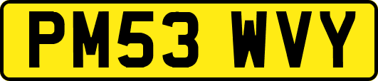 PM53WVY