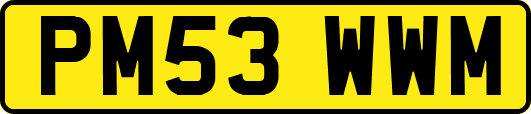 PM53WWM
