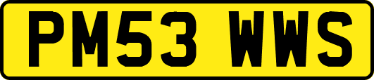 PM53WWS