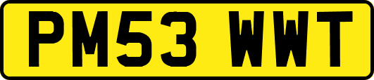 PM53WWT
