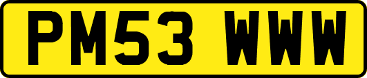 PM53WWW