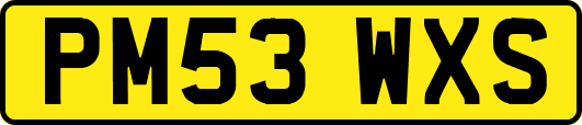 PM53WXS