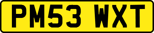 PM53WXT