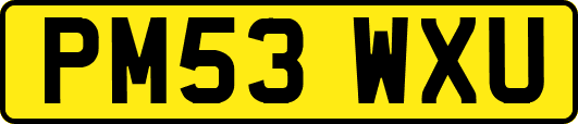 PM53WXU