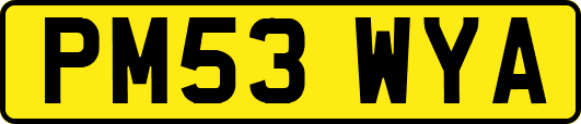 PM53WYA