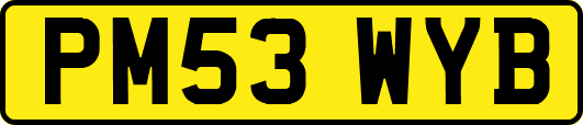 PM53WYB