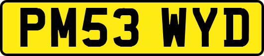 PM53WYD