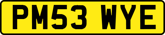 PM53WYE