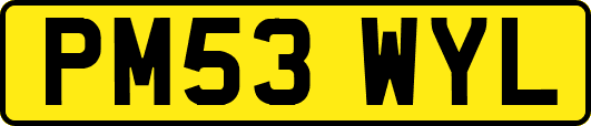 PM53WYL