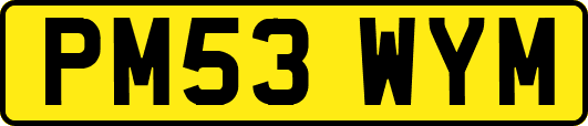 PM53WYM