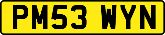 PM53WYN