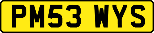 PM53WYS