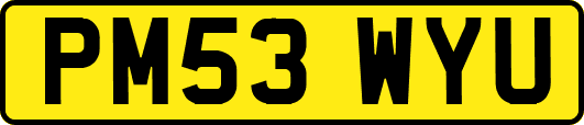 PM53WYU