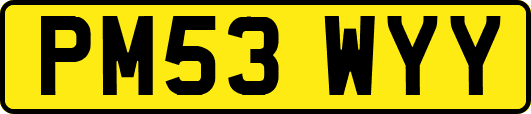 PM53WYY