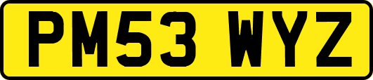 PM53WYZ