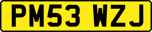 PM53WZJ