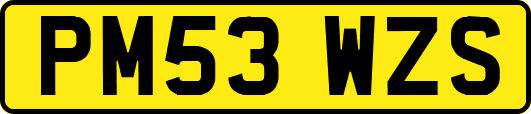 PM53WZS