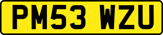 PM53WZU