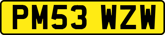 PM53WZW
