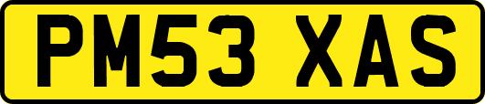 PM53XAS