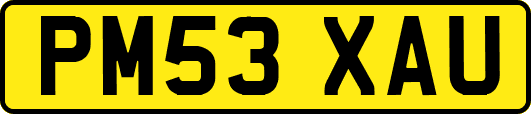 PM53XAU