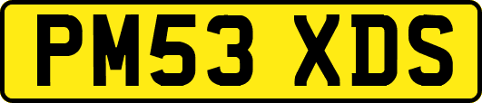 PM53XDS